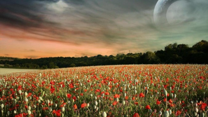 微软edge浏览器为什么逐渐被其他的浏览器代替？